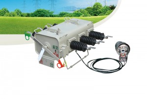 TFLW34F-12 Outdoor intelligent vacuum load switch complete set